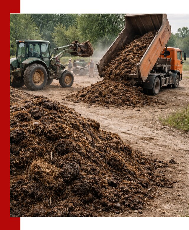 Доставка навоза самосвалами в Можге для сельхозпотребностей