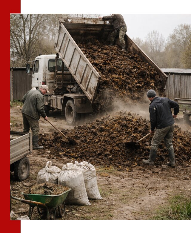 Доставка коровьего навоза самосвалом в Можге